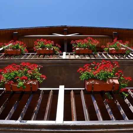 شقة Casa Montse
