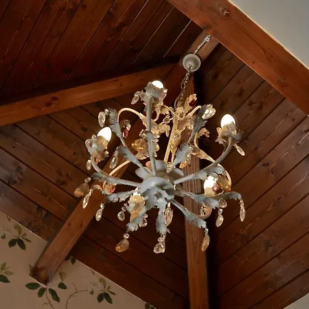 Apartament Casa Montse *