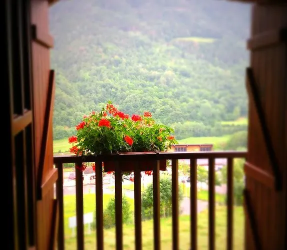 Apartament Casa Montse *