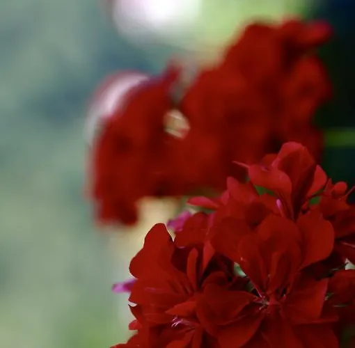 Casa Montse 아파트