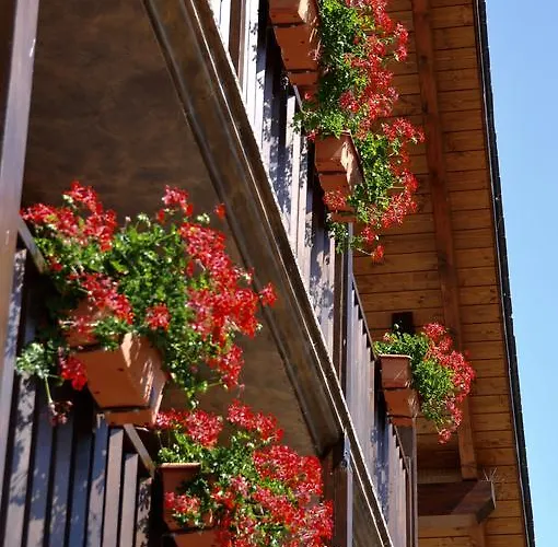 Casa Montse